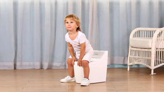 Print Patroon Eco Friendly Plastic PP Baby Potty Training Seat Chair 39*26*37 Bruto/Netto Gewicht 2,1 kg/1,48 kg