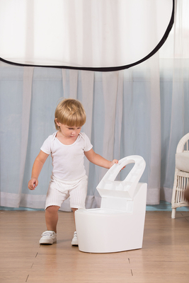 Print Patroon Eco Friendly Plastic PP Baby Potty Training Seat Chair 39*26*37 Bruto/Netto Gewicht 2,1 kg/1,48 kg